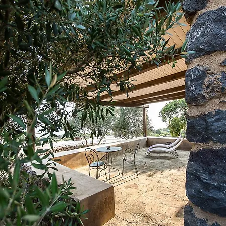 Dammusi Al-qubba Wellness &