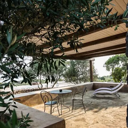 Dammusi Al-qubba Wellness&resort