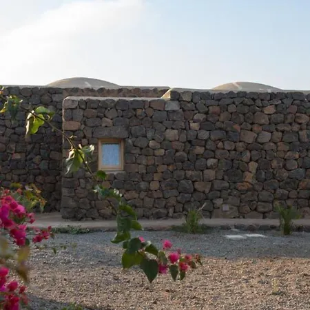 Dammusi Al-qubba Wellness &