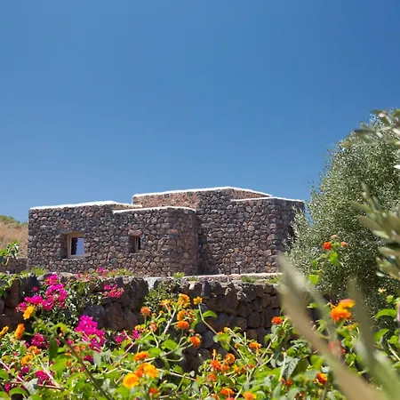Dammusi Al-qubba Wellness &